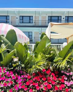 a view of a building with plants and flowers at The Shore House in Wildwood