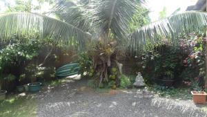 Douceur Tropicale Proximité plage et commercesにある庭