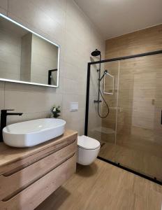 a bathroom with a sink and a toilet and a shower at Apartment Mate in Pridraga