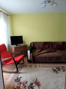 ein Schlafzimmer mit einem Bett, einem Stuhl und einem TV in der Unterkunft Fely Room in Petroşani