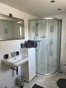 een badkamer met een glazen douche en een wastafel bij Ferienwohnung Jardin de lavande in Fridingen an der Donau
