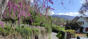 un jardín con flores rosas en la pared en Maison au pied de la montagne en Aspet