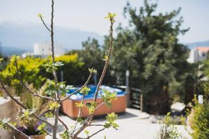 a view of a garden with trees and a building at Wonderful Villa Melodie in Plaka