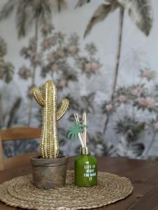 een cactus en een groene vaas op een tafel bij L'exotic' 1 à 4 voyageurs in Perpignan