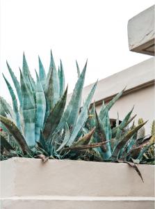 Fotografie z fotogalerie ubytování Hotel Plein Large v destinaci Bandol