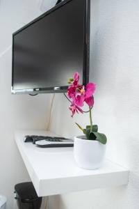 a white shelf with a computer monitor and a flower at Apartment Silvana in Senj