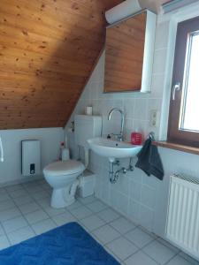 uma casa de banho com um WC e um lavatório em Dachgeschosswohnung mit Burgblick in Kues em Bernkastel-Kues