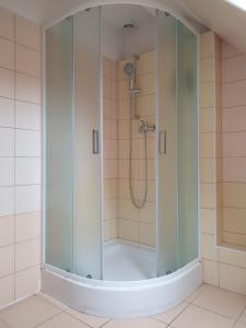 a shower with a glass door in a bathroom at Pension U Tří sedláků in České Budějovice +37 photos