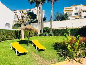 A garden outside Casa Carlos