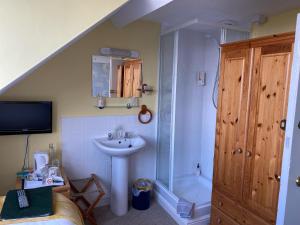 a bathroom with a sink and a shower and a toilet at Sinai House in Lynton