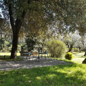 una mesa y sillas en un parque bajo un árbol en VILLA LUNA, en Comeana