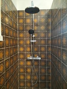 y baño con ducha y azulejos marrones. en Les jardins Ducarouge 1, en Digoin