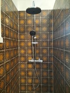 a shower in a bathroom with brown tiles at Les jardins Ducarouge 1 climatisé in Digoin +7 photos