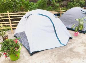 2 tende sono disposte accanto ad alcune piante di Yumasham Camping a Darjeeling