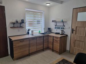 Apartament Nova Kamienica 3 في واغوف: مطبخ مع حوض و كونتر توب