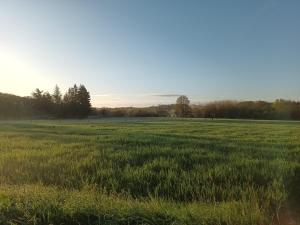 a field of green grass with the sun in the background at Un Brain de nature in La Chapelle-de-Brain