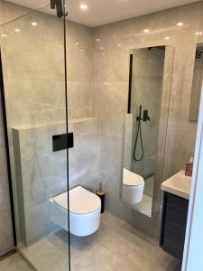 Bilik mandi di A&A Apartment Baden-Baden +18 gambar