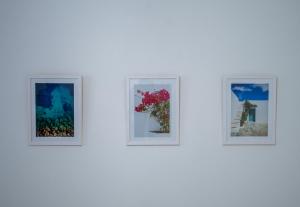 trois photographies encadrées de fleurs sur un mur blanc dans l'établissement Lavender Home, à Sifnos