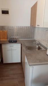 una cucina con lavandino e piano di lavoro di Adriatica Apartments a Škrljevo