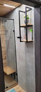 a bathroom with a shower with a glass door at Квартира Люкс (Мира 1) in Balqash