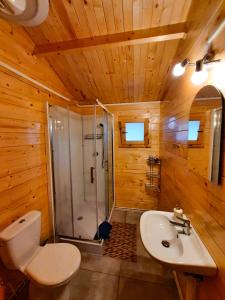 W łazience znajduje się prysznic, toaleta i umywalka. w obiekcie Pod Lawendą & Jacuzzi & Blisko Augustów w mieście Augustów