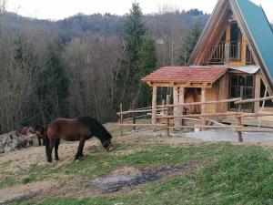 Ranch at Geta في Razgorce: رعي خيول في حقل بجانب مبنى