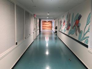 Fotografie z fotogalerie ubytování La Unica v destinaci Austin