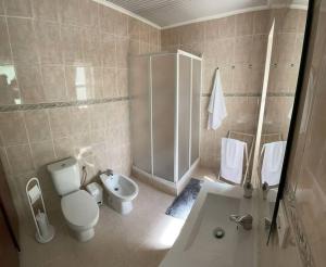 Un baño con inodoro, lavabo y ducha. en Friends Place, en Praia da Vitória 3 fotos más