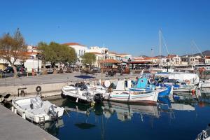 grupa łodzi jest zakotwiczona w przystani w obiekcie Aegina luxury apartments w mieście Egina