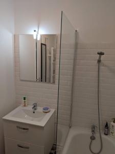 y baño con lavabo y ducha. en Appartement SQY, en Guyancourt