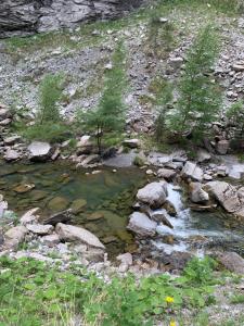 a stream of water with rocks and trees on a hill at Colmars les Alpes in Colmars
