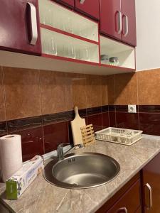 Kuchyň nebo kuchyňský kout v ubytování Apartmani Asper