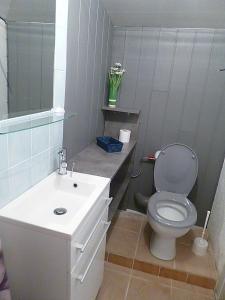 a bathroom with a toilet and a sink at gite du guip in Trégourez