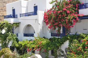 un groupe de bâtiments blancs avec des fleurs sur eux dans l'établissement Nostos Studios, à Aegiali