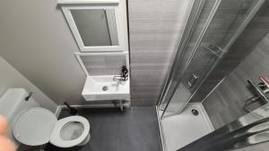 een badkamer met een toilet, een wastafel en een spiegel bij Rutland Street Townhouse Belfast in Belfast