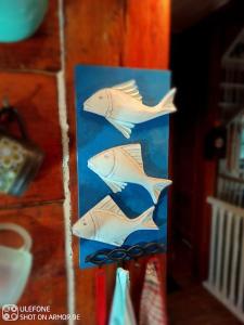 uma pintura de três peixes num cartão azul em Uroczysko Tartaczysko em Giby