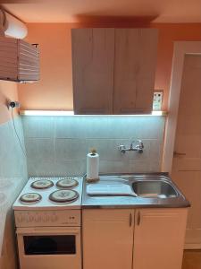 Köök või kööginurk majutusasutuses Studio Apartman Burek