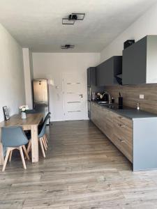 Kuchyň nebo kuchyňský kout v ubytování Apartmány 400 + 10 fotografií