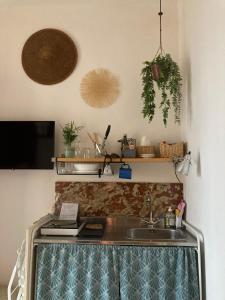 Le Tre Terrazze في بولونيا: مطبخ مع حوض و كونتر توب