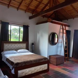 a bedroom with a bed and a ladder and a mirror at Villa Paulina in Guadalupe