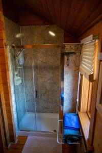 a bathroom with a shower with a tub at APPLE Cabin - Little Log Cabin in Wales in Newtown