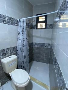 a bathroom with a toilet and a shower at Moon Apartments in Jerash