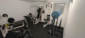 Phòng/tiện nghi tập thể dục tại Appartamento Mary - Casa Green - Dog friendly, box auto