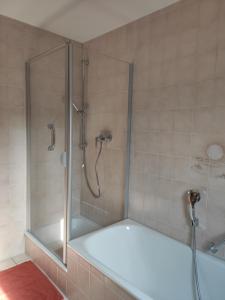 a bathroom with a shower with a bath tub at Ferienwohnung Unter dem Sonnberg in Auggen