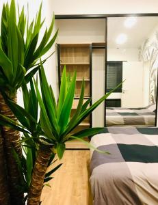 a bedroom with a plant next to a bed at Les cocons du bassins - Logements neufs tout équipés proche littoral in Gujan-Mestras
