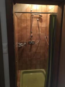 La salle de bains est pourvue d'une douche et d'une baignoire verte. dans l'établissement Apartment Peterl, à Alpl