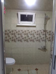 uma casa de banho com um chuveiro, um WC e uma janela. em Nino Apartement Zugdidi em Zugdidi