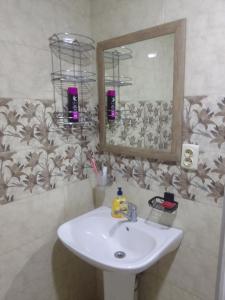 uma casa de banho com um lavatório e um espelho em Nino Apartement Zugdidi em Zugdidi