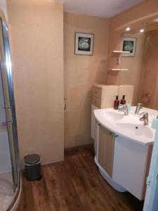 W łazience znajduje się umywalka i prysznic. w obiekcie Rouge-cœur w mieście Montaigu