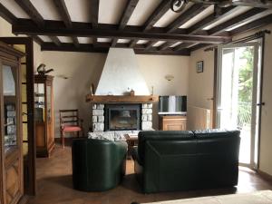 a living room with a couch and a fireplace at Chalet Echalas in Échalas